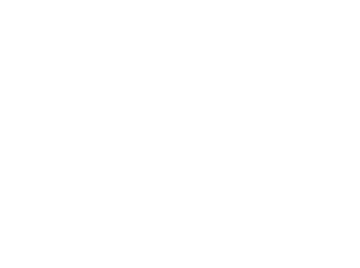 Lydon Group — an extension of your team